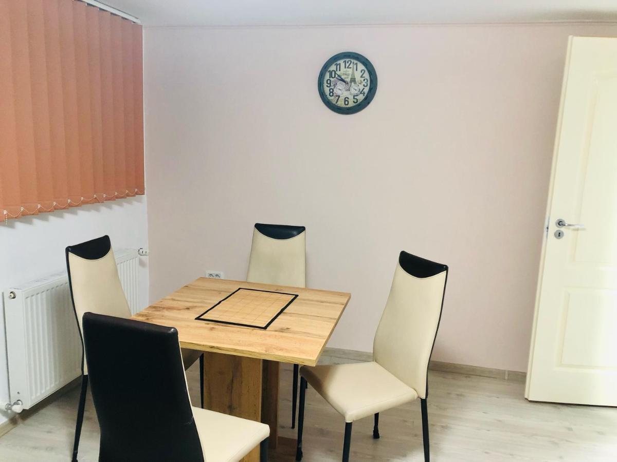 Central Park - Big Apartment - 3 Rooms - Free Parking T5 Temeşvar Dış mekan fotoğraf
