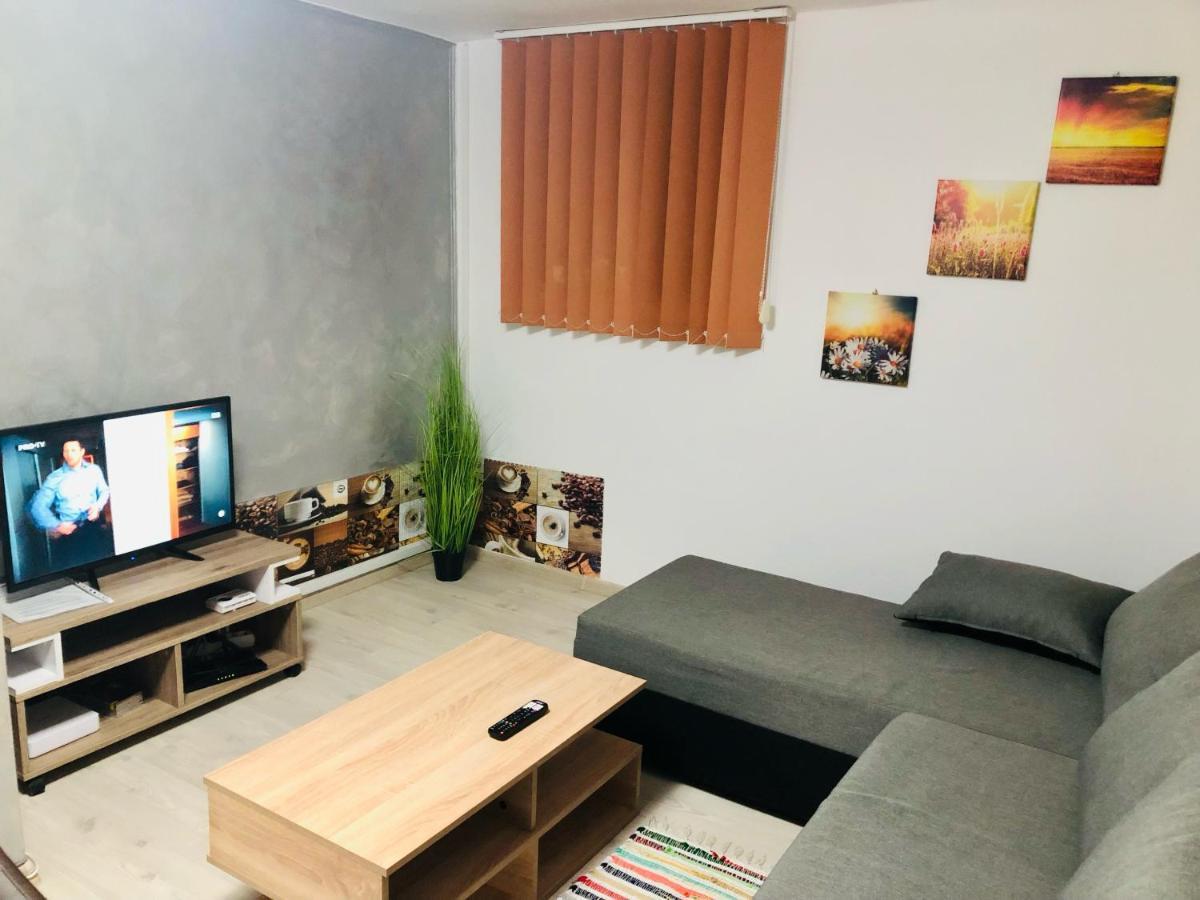 Central Park - Big Apartment - 3 Rooms - Free Parking T5 Temeşvar Dış mekan fotoğraf