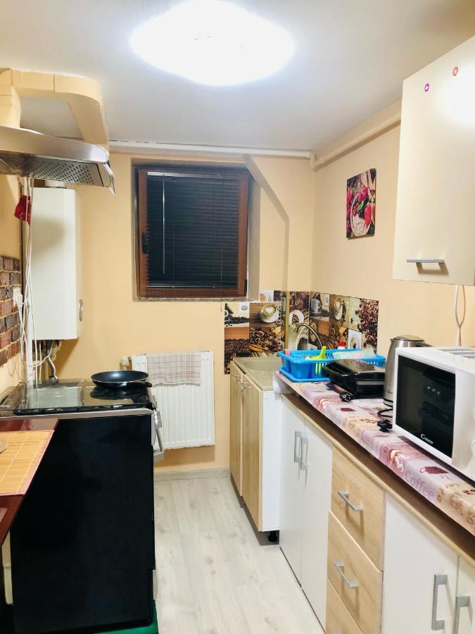 Central Park - Big Apartment - 3 Rooms - Free Parking T5 Temeşvar Dış mekan fotoğraf