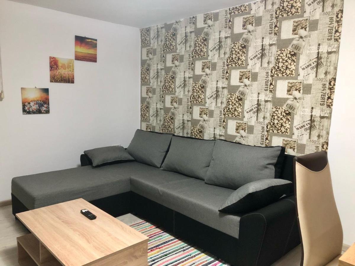 Central Park - Big Apartment - 3 Rooms - Free Parking T5 Temeşvar Dış mekan fotoğraf