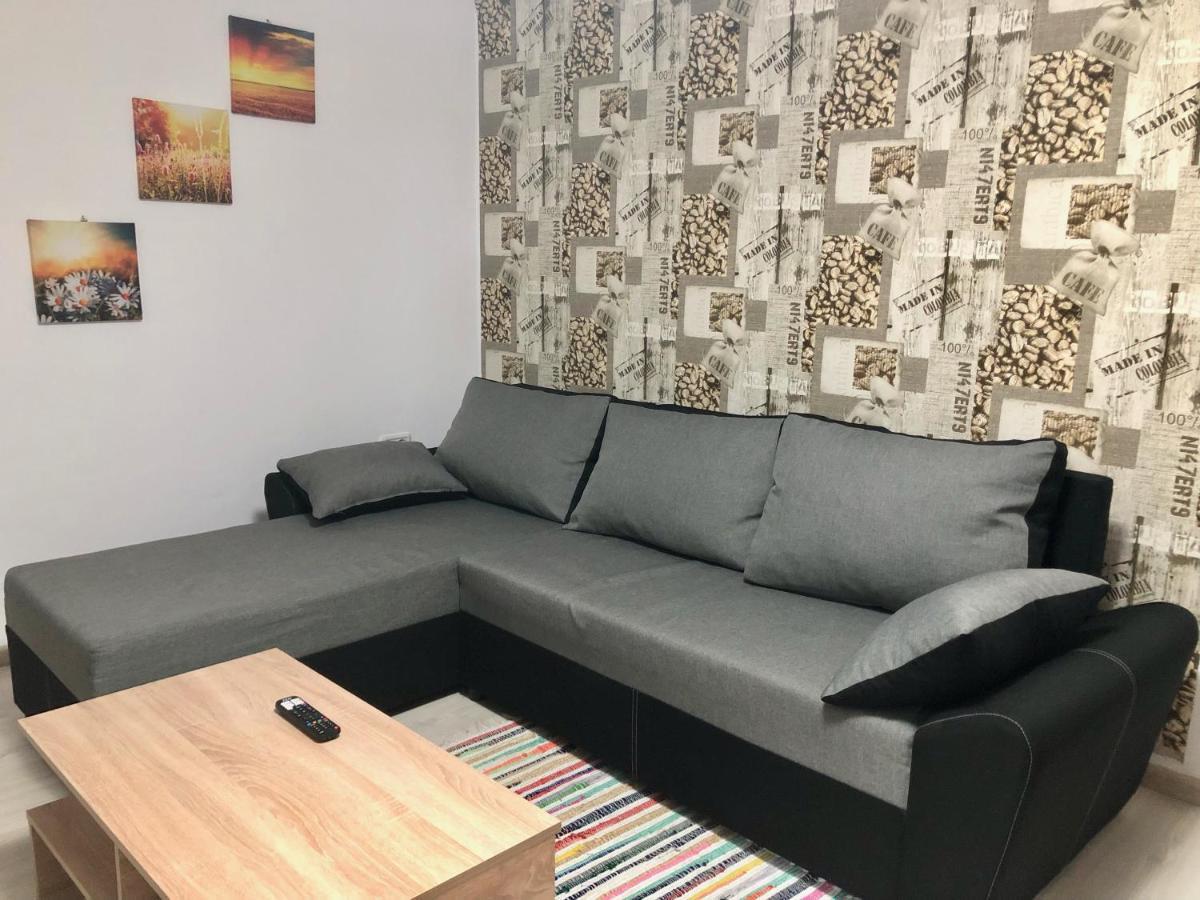 Central Park - Big Apartment - 3 Rooms - Free Parking T5 Temeşvar Dış mekan fotoğraf