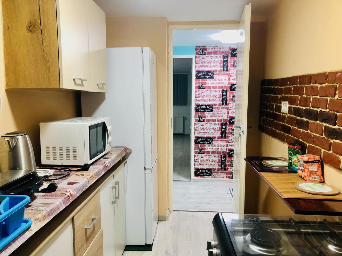 Central Park - Big Apartment - 3 Rooms - Free Parking T5 Temeşvar Dış mekan fotoğraf