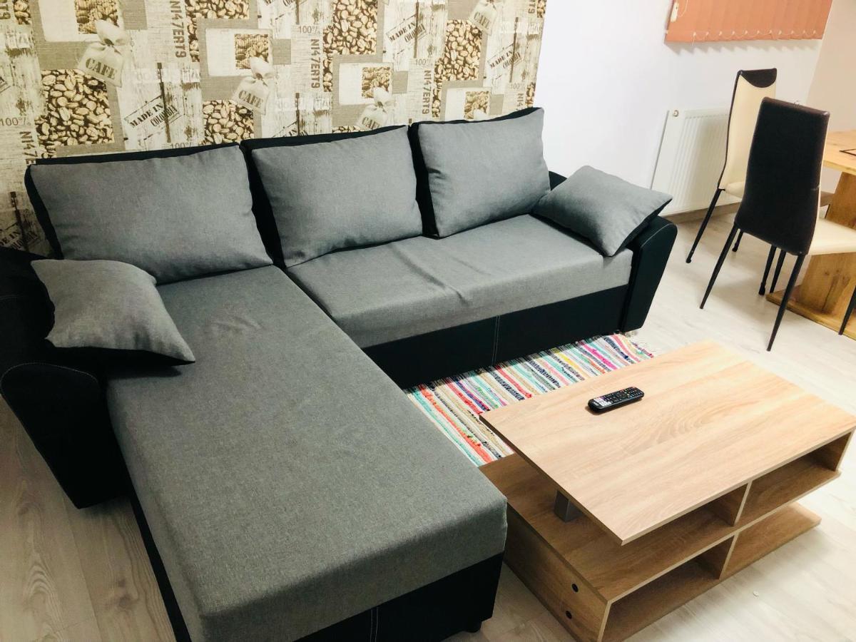 Central Park - Big Apartment - 3 Rooms - Free Parking T5 Temeşvar Dış mekan fotoğraf